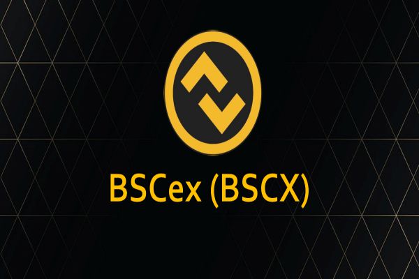 bscx-coin