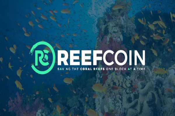 reef-coin