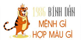 1986-menh-gi