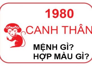 1980-menh-gi