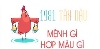 1981-menh-gi