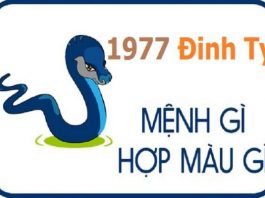 1977-menh-gi