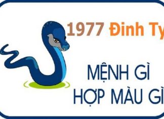 1977-menh-gi