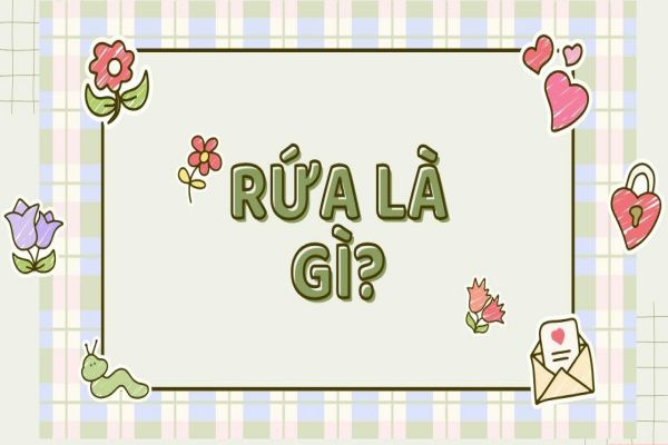 rua-la-gi